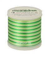 Madeira Rayon Ombré 200 m, kleur 2031