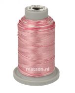 Brildor Multicolor 1000 m, kleur 2854