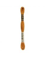 DMC 117 Mouline kleur 976